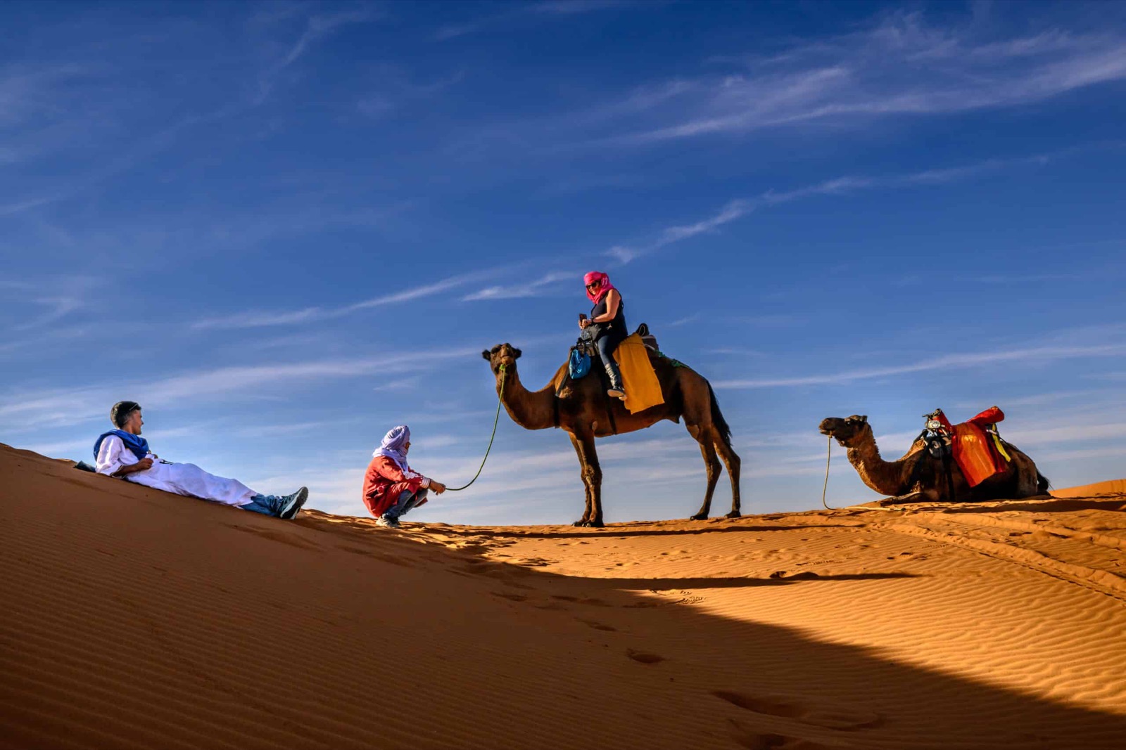 Nomadic Tours photo